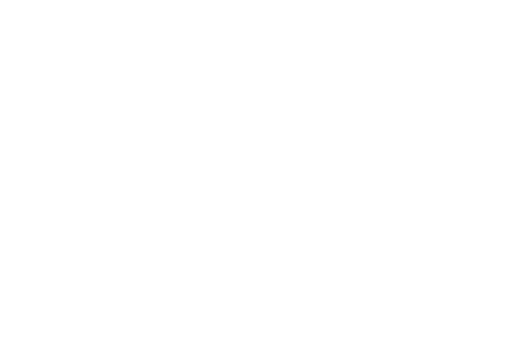 Popup Bagels